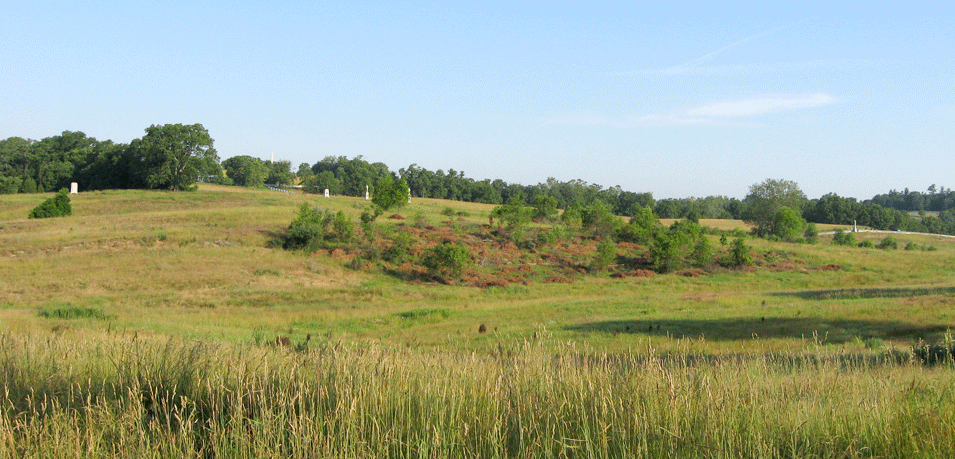 View of Branch Avenue from the Otto Farm Trail (2)