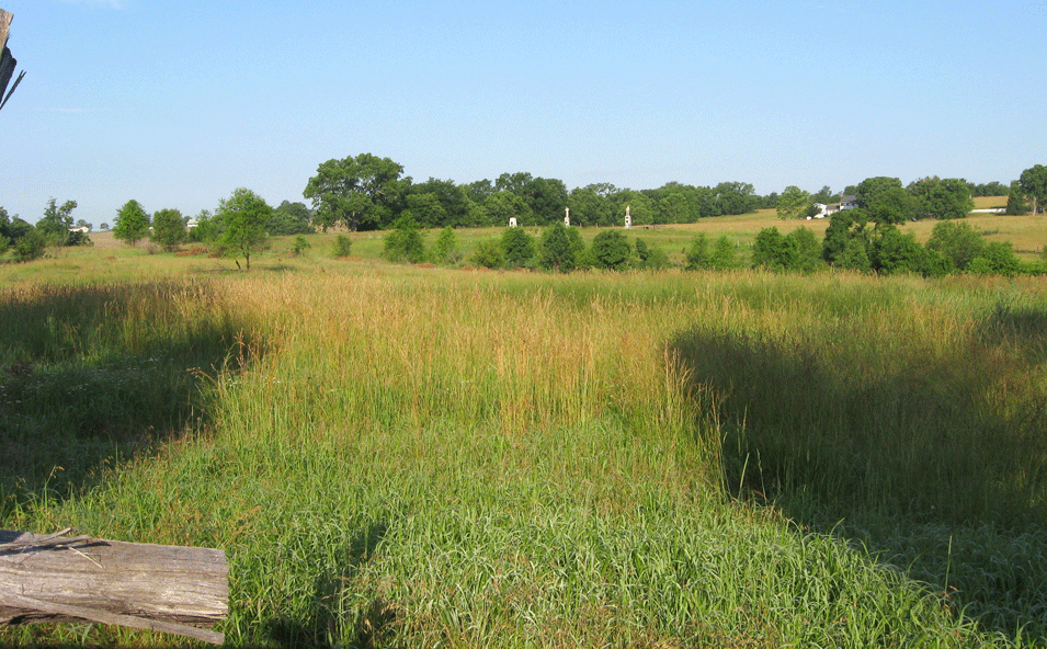 View of Branch Avenue from the Otto Farm Trail