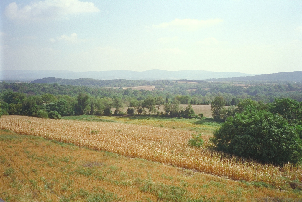 View from the Observation Tower on the Antietam battlefield