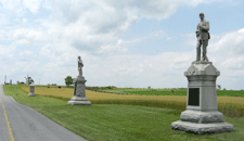 Cornfield-mons_3375